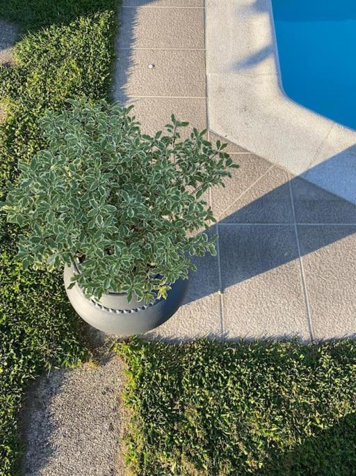 הוילה Paredes de Viadores Casa De Alventela - Countryside House מראה חיצוני תמונה
